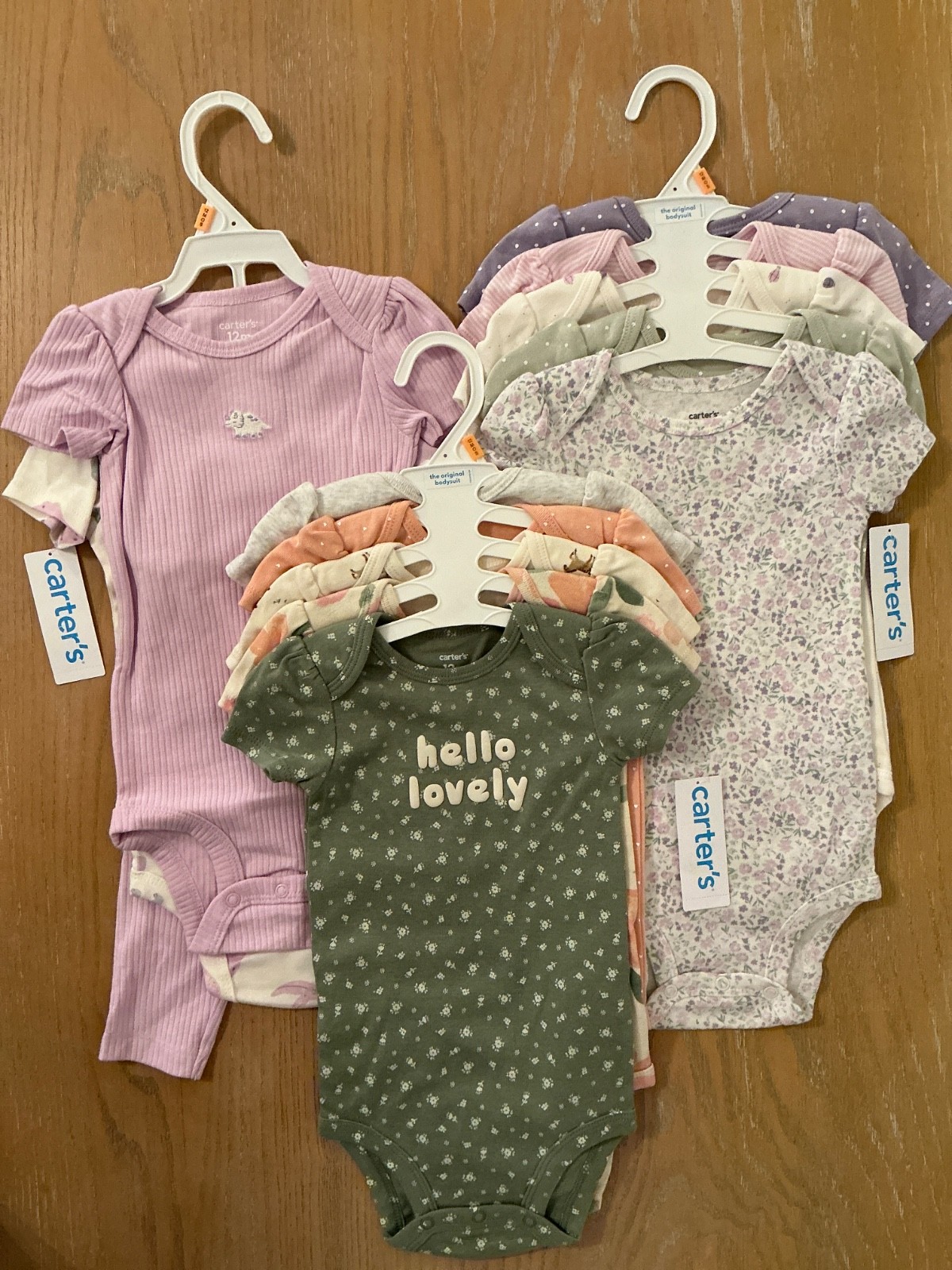 Carter&rsquo;s Infant Girls Clothing Lot of 13 Size 12 Months