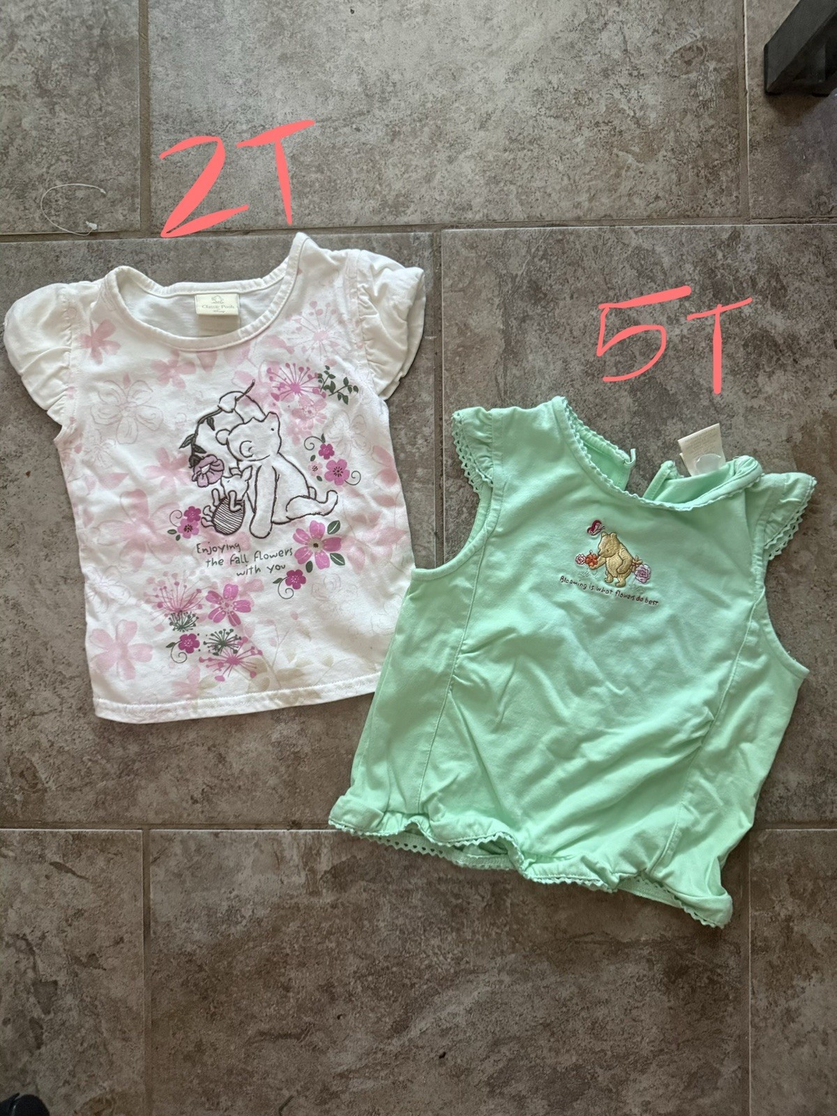 Y2K Classic Winnie the Pooh Disney Baby Girl 2T & 5T Floral Cartoon Tops