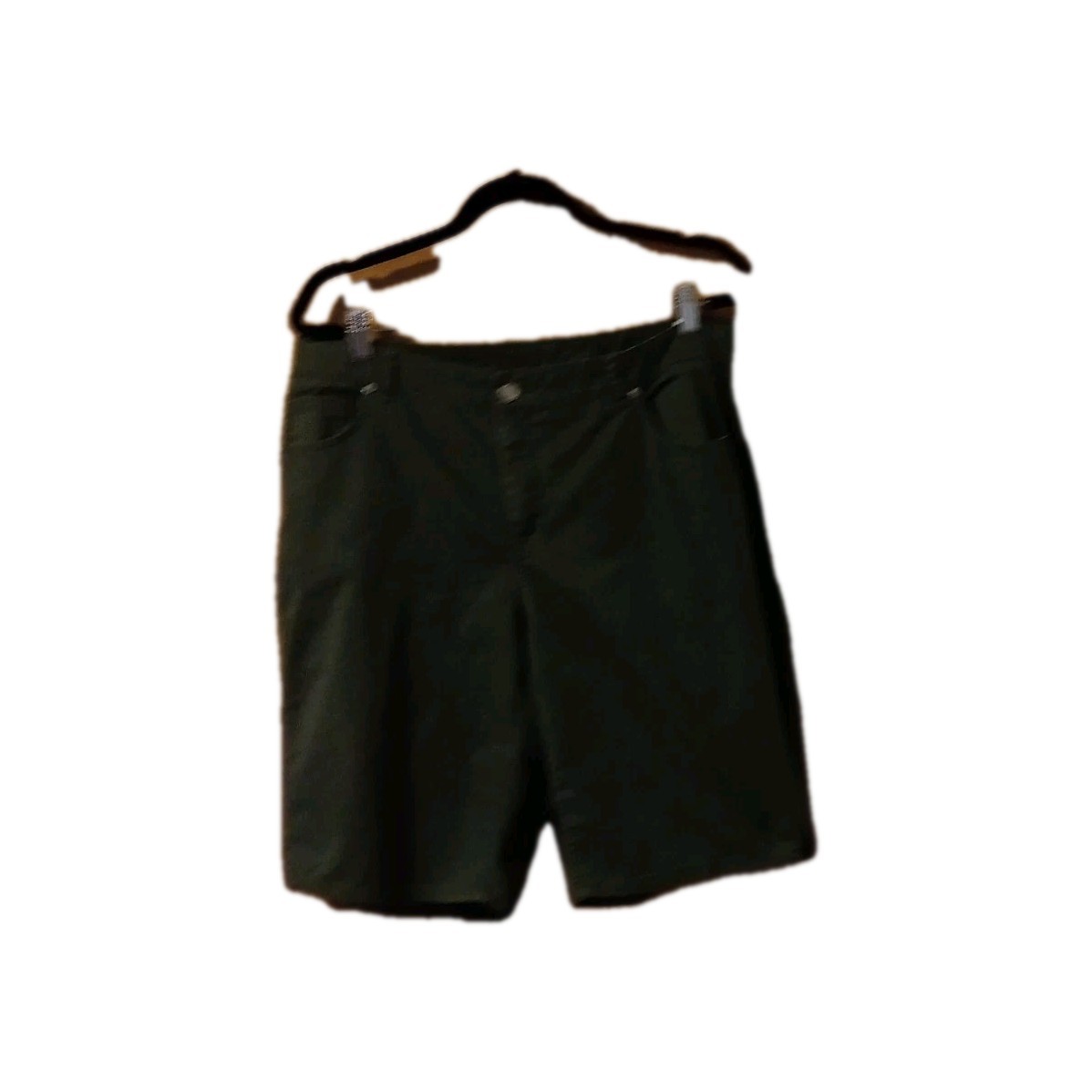 Just My Size Lands&rsquo; End Casual Corner Annex Women&rsquo;s Clothing Lot Shorts 20W +t&rsquo;s