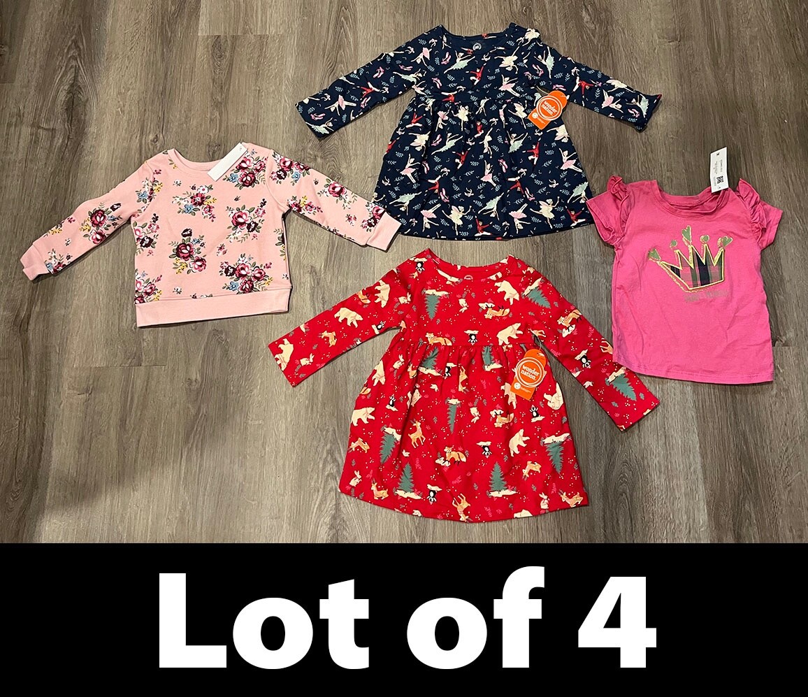 Lot of 4 Garanimals & Wonder Nation GIRLS Sweatshirt, Dresses & Tee, Size 18M