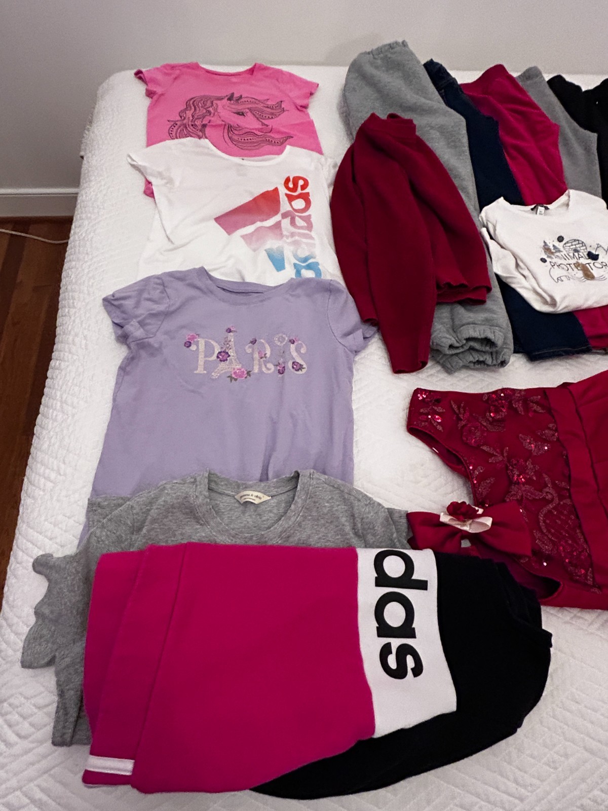 Girl&rsquo;s Clothing LOT – Multiple Pieces | Size 10-12