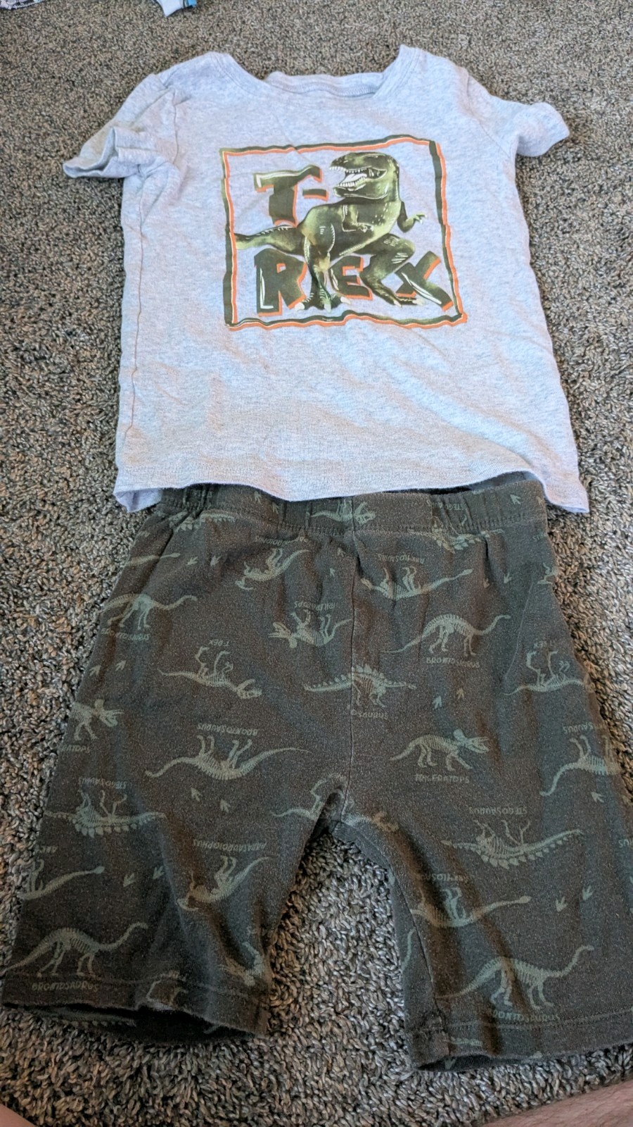 Boys. Size 7. Dinosaur Lot. 8 Pieces