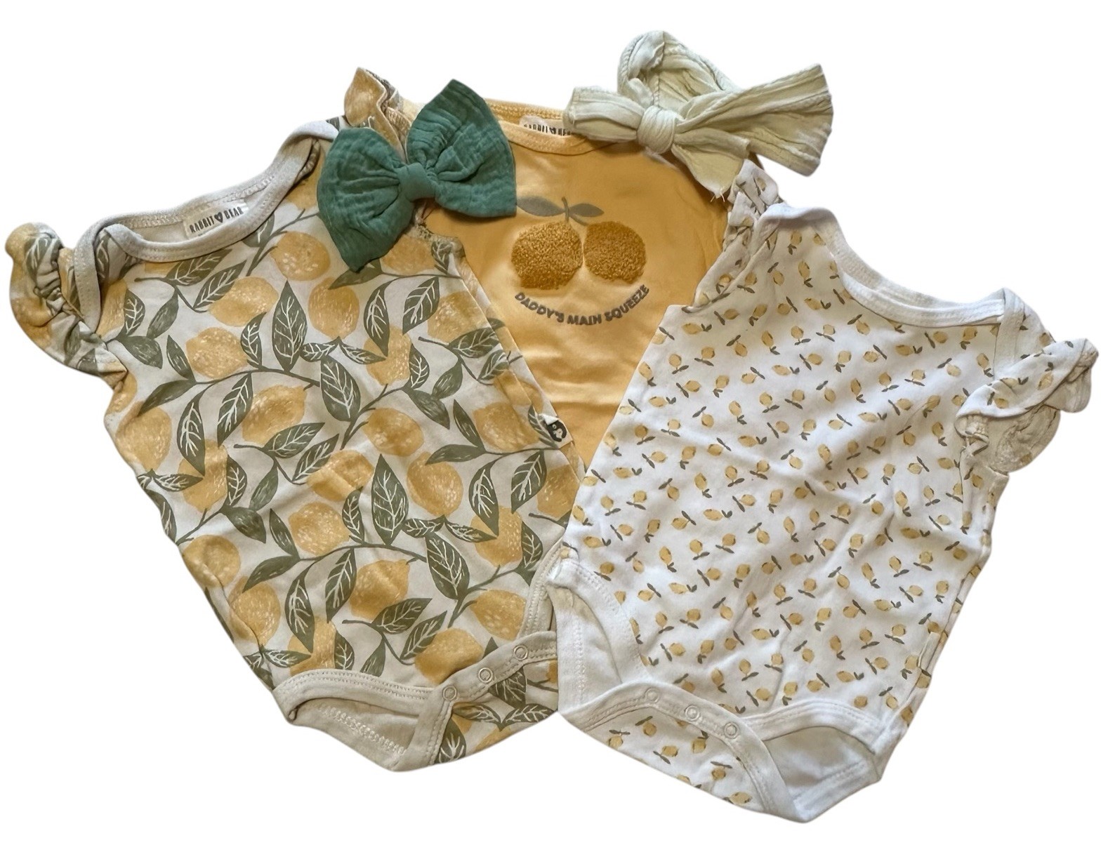 Infant Girls Clothing Lot of Size 3/6 Month Carter’s Burt’s Bees Bathing Suit