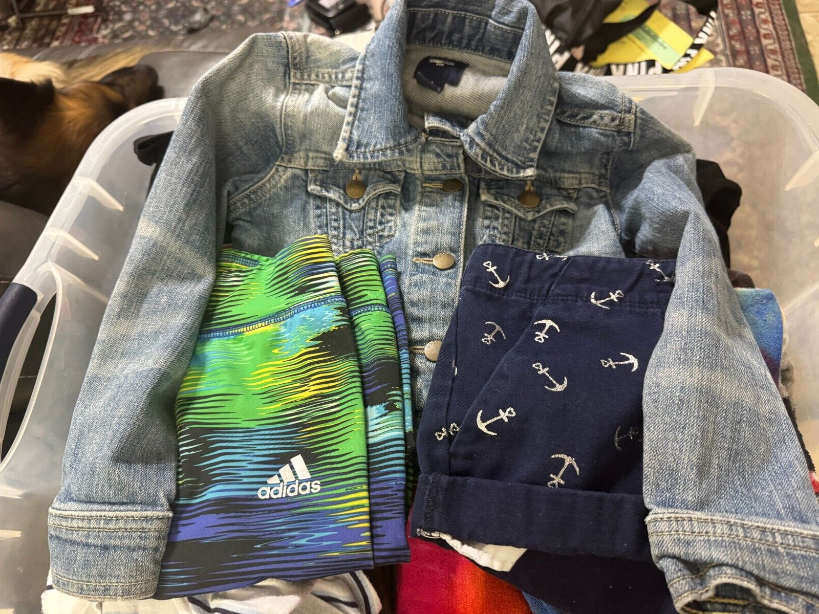 3 BUNDLE CHILD-GAP KIDS S JEAN JACKET, NAUTICA SHORTS 8, & ADIDAS 6X STRETCH PNT