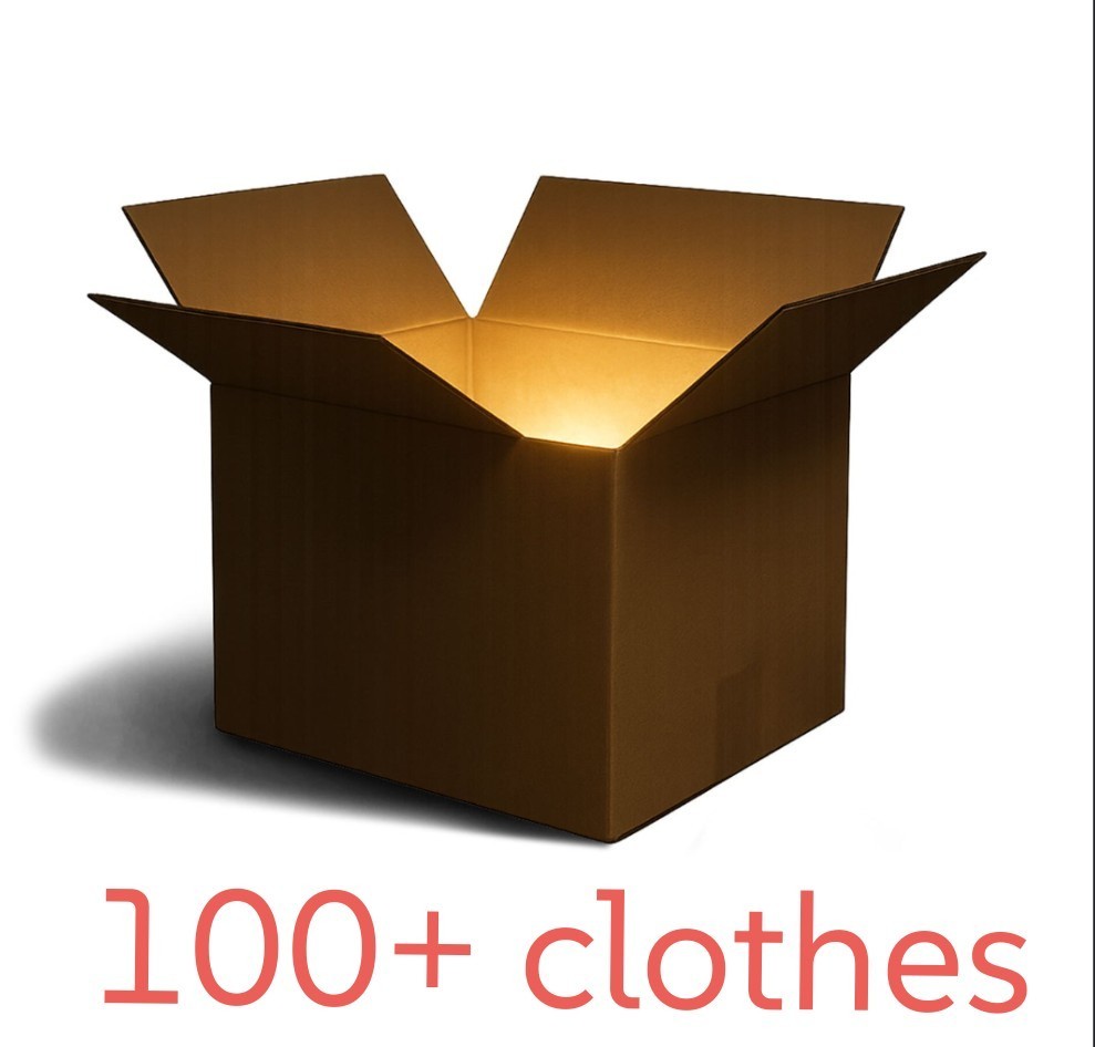 100+ Variety of Clothes (Shirts Pants Hoodies Etc) Wholesale Lot. Bid/Best Offer