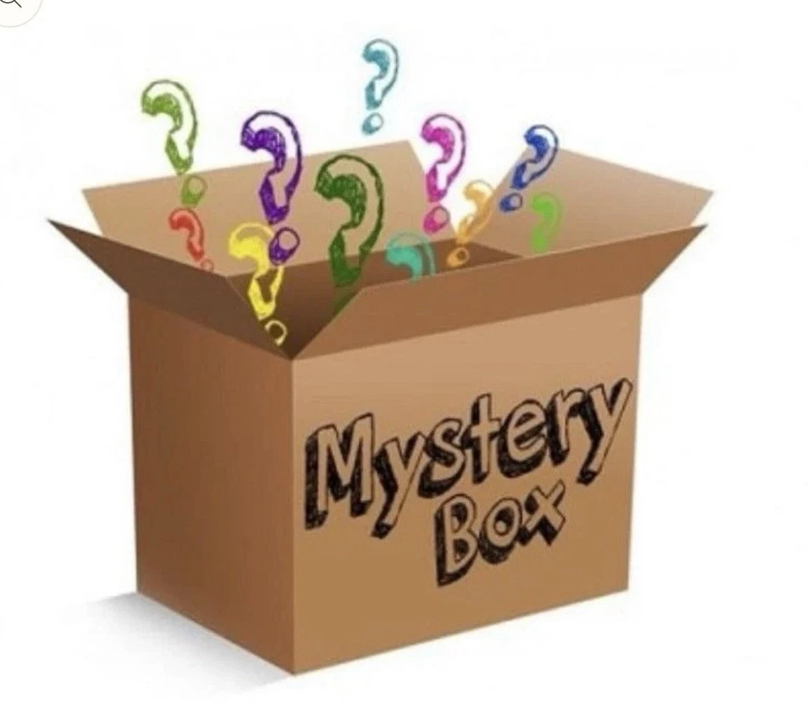 Womens Mystery Bundle Box Surprise Mixed Clothing Lot of 13 Various Sizes