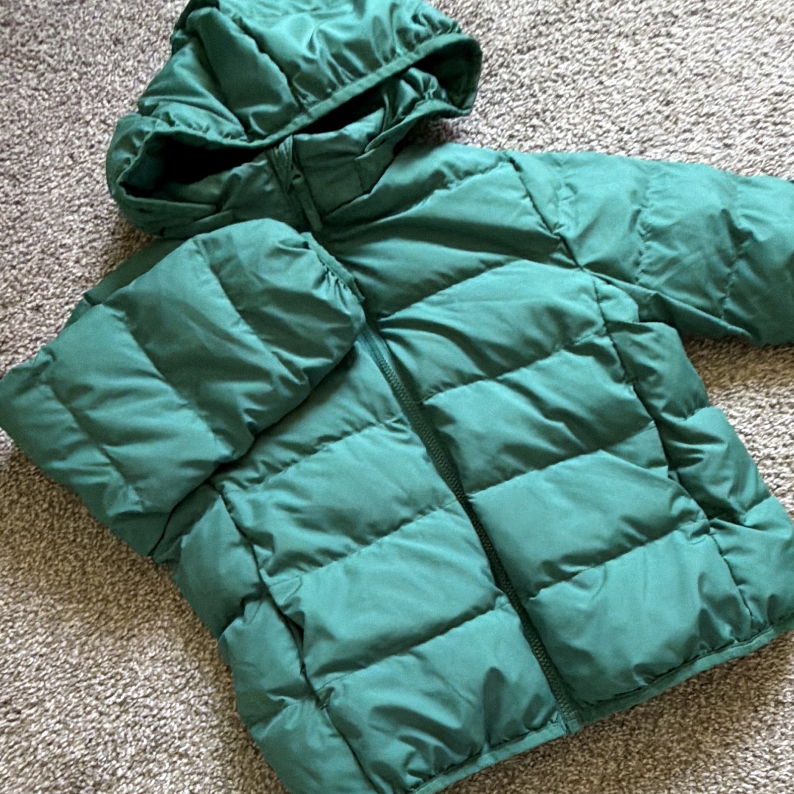 Boy Size 3years -5 yearsMixed Bundle Hooded Nylon Puffer Jacket, Animal, Winter
